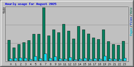Hourly usage for August 2025