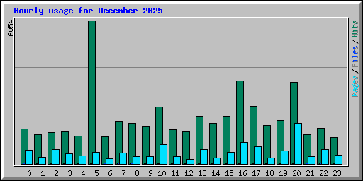 Hourly usage for December 2025
